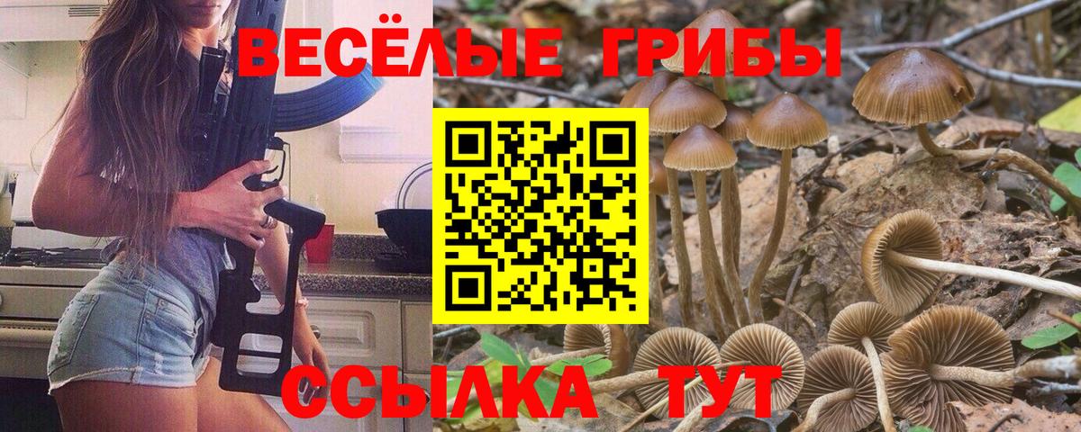 Псилоцибиновые грибы прущие грибы  Вход с VPN  Сургут 